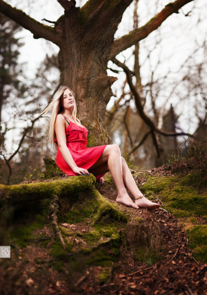 Markela Bokehrama Woods